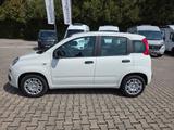 Fiat Panda | 5 Sitzer | Radio | PDC | Tempomat - Fiat Panda: Sitzer
