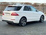 Mercedes-Benz ML 350 CDI BT AMG Line NightVision-ILS-Kamera-E6 - Mercedes-Benz ML 350: Cdi AMG