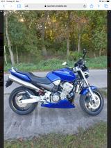 Honda Hornet900 - HONDA HORNET 900