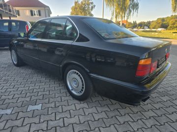 BMW 525 - 6