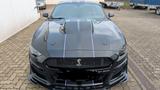 Ford Mustang V6 3,7 Liter Shelby GT Optik  - gebrauchte Ford Mustang aus dem Jahr 2017