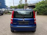 Fiat Panda 1.2 8V Dynamic - gebrauchte Fiat Panda aus dem Jahr 2008