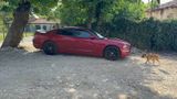 Dodge Charger - Dodge Charger aus 2013
