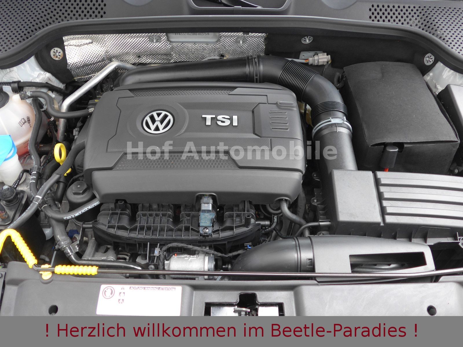 Volkswagen Beetle 2.0TSI R-Line Individual / Exclusive foto 20