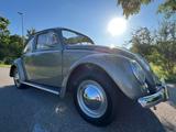 Volkswagen VW Käfer 1200 L - Faltdach, 1959er, TOP-ZUSTAND! - Volkswagen Käfer mit Benzin-Antrieb: Faltdach