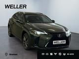 Lexus UX 250h F SPORT Design *LED*ACC*CAM*SHZ*SmartKey - : Grün, Metallic