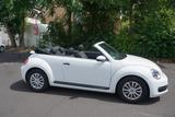 Volkswagen VW Beetle Cabrio 1,2 TSI weiß ca. 24.500 k... - Volkswagen Beetle 5C