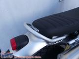 Triumph Scrambler 1200 XE Mod 2025 mit 1850,- Discount - TRIUMPH SCRAMBLER 1200 XE