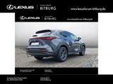 Lexus NX 350 Business Line - 15 Jahre Lexus Relax Gara - Lexus: Nx
