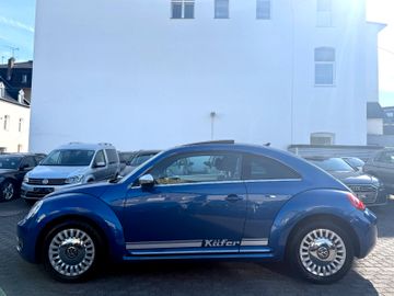 Volkswagen Beetle - 6
