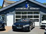 BMW 430i Cabrio M Sport/Aut./HUD/Kamera/Nackenhzg. - scheckheftgepflegte BMW 430
