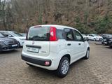 Fiat Panda 1.0 Pandina Pop PDC Radio Klima - Fiat Panda Pandina mit Benzin-Antrieb