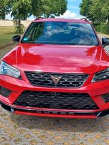 Cupra Ateca 2.0 TSI 221kW 4Drive DSG - - Cupra Ateca aus 2019