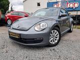 Volkswagen Beetle Lim. Basis - Volkswagen Beetle in Dresden
