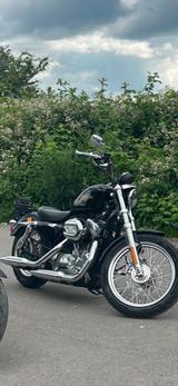 Harley-Davidson XL883 - Angebote