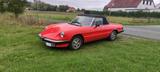 Alfa Romeo Spider 2.0 Aerodinamica - Alfa Romeo aus 1986