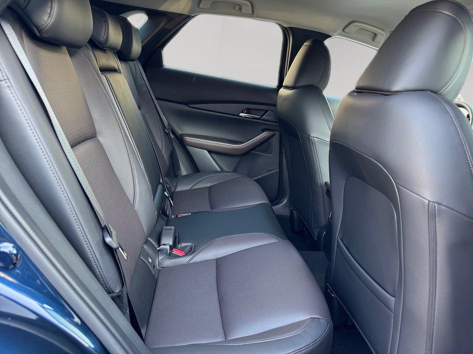 Fahrzeugabbildung Mazda CX-30 X 2.0i 186PS A/T AWD Takumi BLOP
