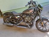 Harley-Davidson XL 1200 Iron - Harley-Davidson Motorräder in Mainz