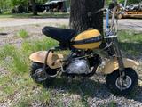 Honda QA Monkey - BENZIN POCKET BIKE