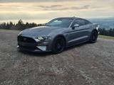 Ford Mustang GT 5.0 I RECARO I MagneRide I B&O I Man.