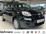 Fiat Pandina ICON 1.0 Klima PDC DAB USB teilb.Rücksb  - scheckheftgepflegte Fiat New Panda