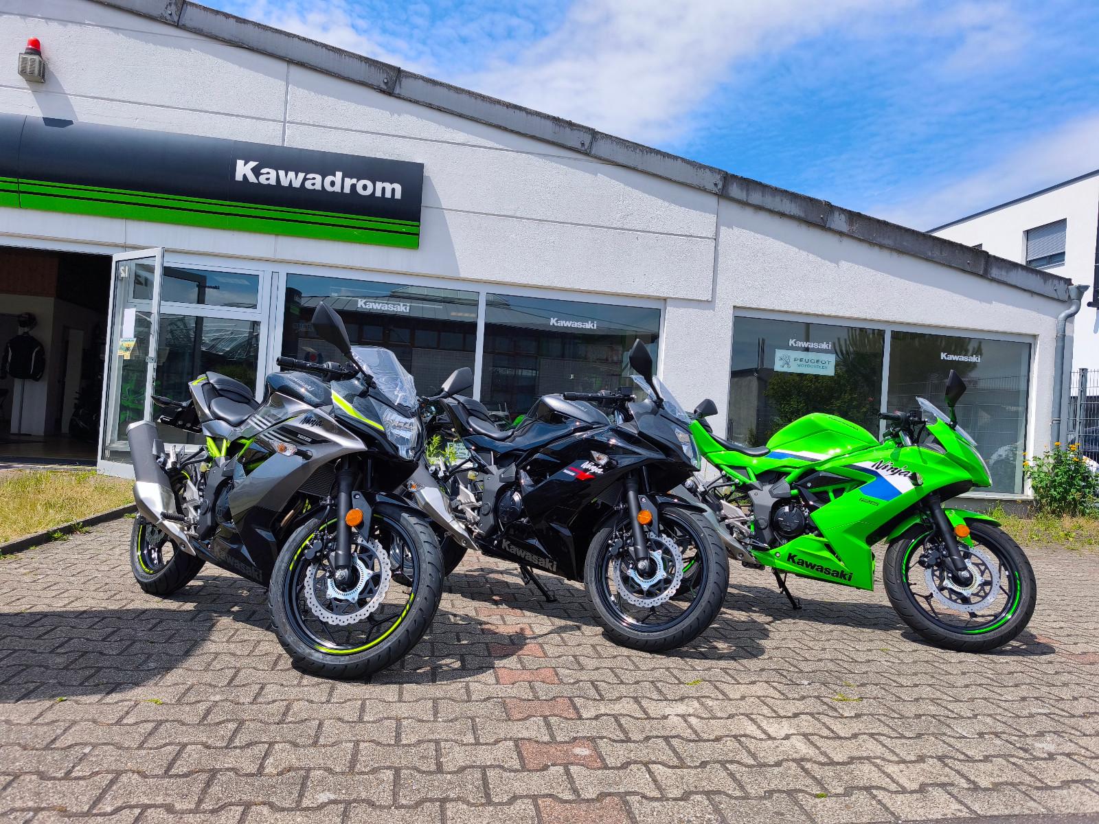 Kawasaki Ninja 125 verschiedene Farben