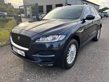 Jaguar F-Pace Ingenium Edition AWD Navi+Camera/Panorama - Jaguar F-Pace in Bonn