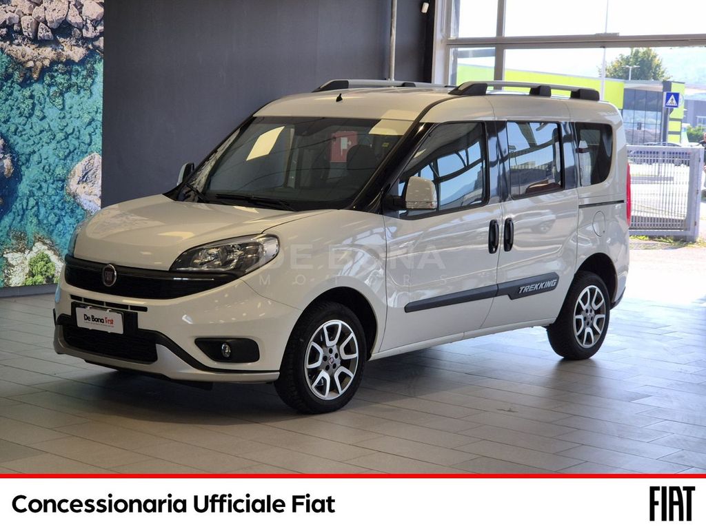 Image of Fiat Other