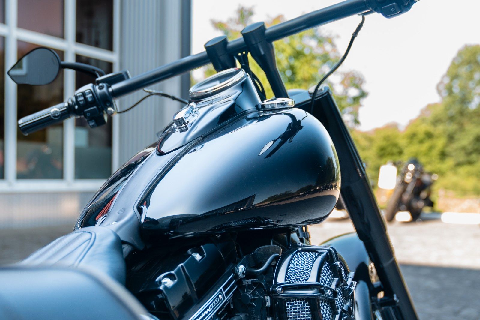 Fahrzeugabbildung Harley-Davidson FLSS SOFTAIL SLIM S 110 cui - Jekill & Hyde