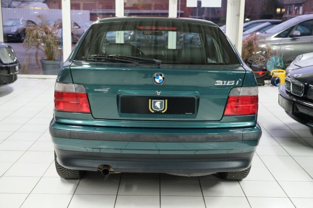 Fahrzeugabbildung BMW 316i Compact/1.Hd/BMW SH/Leder+Klima+SHZ
