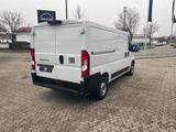 Fiat Ducato 33 L2H1 CarPlay RüKa 260Grad Türen Klima - Fiat Ducato Neuwagen
