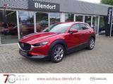 Mazda CX-30 Selection 150 Bose|360°|LED - Mazda CX-30 in Essen