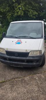 Fiat Ducato - gebrauchte Fiat Ducato aus dem Jahr 2005