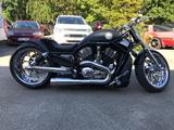 Harley-Davidson VRSCA V-Rod - HARLEY-DAVIDSON VRSCA