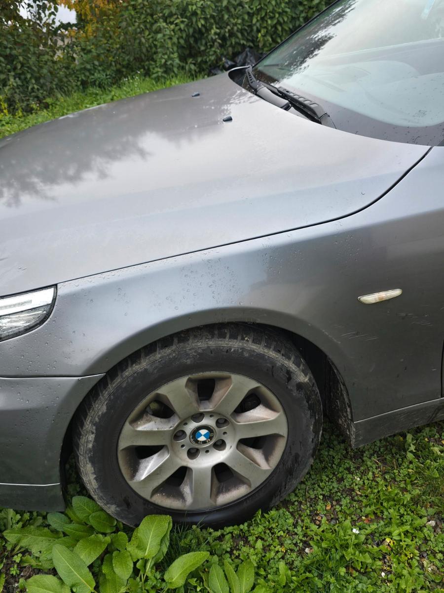 BMW 525 2009 — двигун 2.993 cm³, 197 HP (145kW)