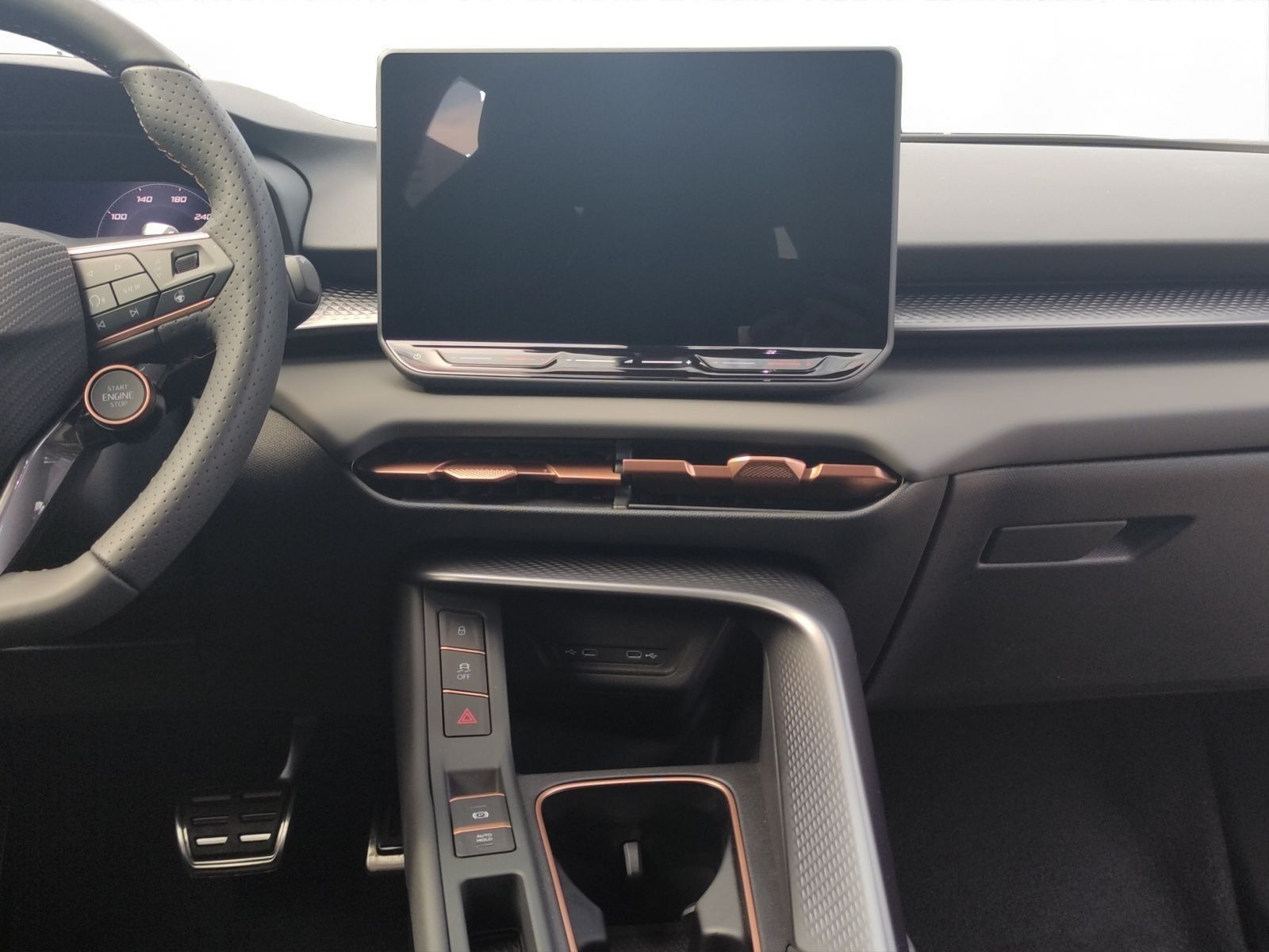 Cupra Terramar - Bild 13