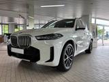 BMW X5 30 d xDrive M-Sport Pano*Standhzg*HK*Gestik - BMW X5: Sport