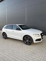 Audi SQ5 3.0 TDI plus tiptronic quattro - - Audi SQ5 von privat