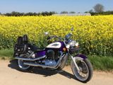 Honda Shadow VT 1100 C2 - Angebote entsprechen deinen Suchkriterien