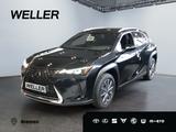 Lexus UX 300e *LED*CarPlay*Leder*Sitzhz*SmartKey* - Lexus UX in Bremen