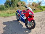 Honda CBR 600F PC35 (Einspritzer-Modell) - HONDA 2002 CBR 600