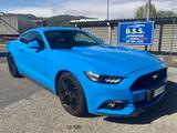 Andere Mustang pari a nuovo - Andere mit Benzin-Antrieb: Blau