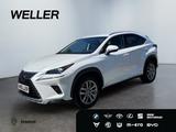 Lexus NX 300h E-FOUR Business Line *LED*ACC*Navi*CAM*S - Lexus: Nx