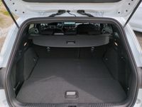 Ford Focus - Vorschau Bild 15