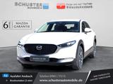 Mazda CX-30 2.5l Prime-Line AHK/Head-up/Kamera/Navi/LE - Mazda CX-30: Prime Line
