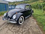 Volkswagen VW Käfer , Dickholmer, Faltdach, Winker - Volkswagen: Kaefer Faltdach