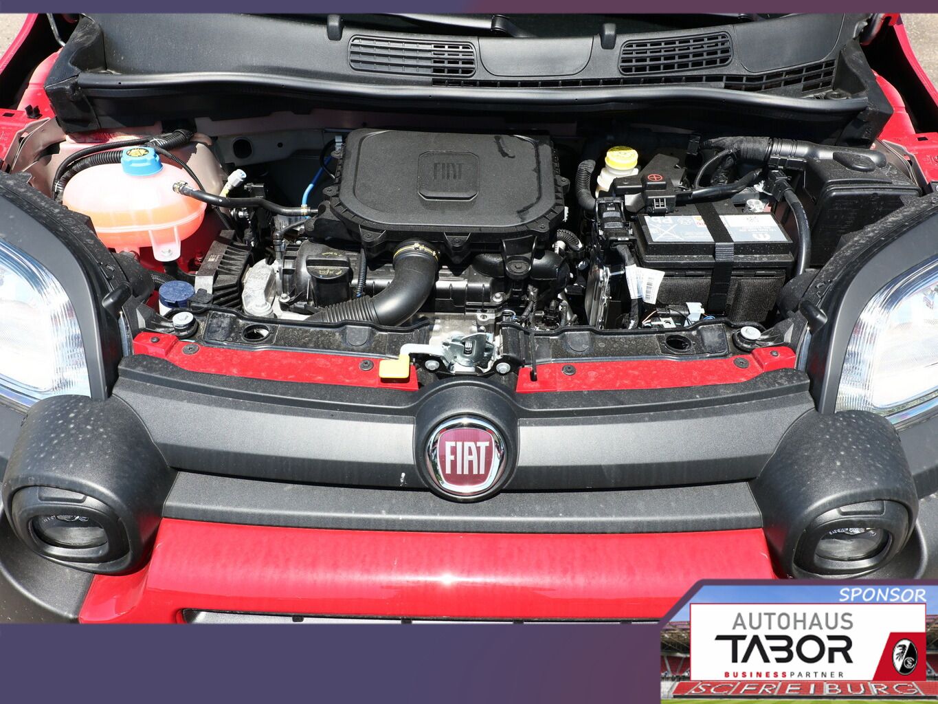Fiat Panda - Bild 12