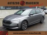 Skoda Octavia Kombi 2.0 TSI 4x4 Sportl. AHK/NAVI/el.HK - Skoda Octavia mit Benzin-Antrieb: Allradantrieb, Kombi