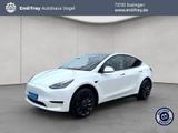 Tesla Model Y Performance Dual Motor AWD - Tesla Model Y in Stuttgart