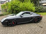 Porsche Cayman S, nur 79TKM, Sportabgasanlage  - Porsche: Sportabgasanlage